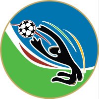 Modern Goalkeeper™️ (@modgktraining) 's Twitter Profile