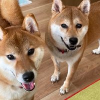 駅近5分(ex森と少年院) (@yhrsn) Twitter profile photo