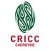 CRICC (@cricccaerdydd) Twitter profile photo CRICC (@cricccaerdydd) Twitter profile photo