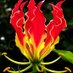 Southern Daily Bongo (@bongosouthern) Twitter profile photo Southern Daily Bongo (@bongosouthern) Twitter profile photo