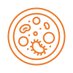 BioMicroLab (@biomicrolab95) Twitter profile photo BioMicroLab (@biomicrolab95) Twitter profile photo