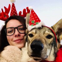 Tereza Pruskova (@gamedevzombie) 's Twitter Profile