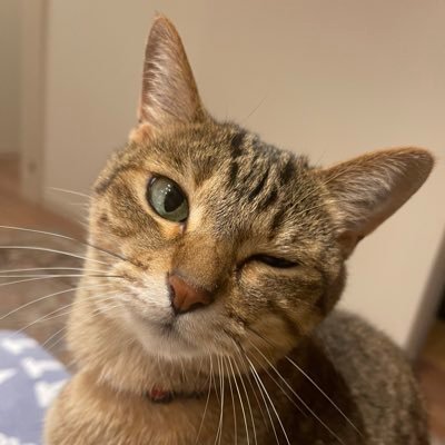 サンホラーにしてカワカミンでリンホラー無言フォローします