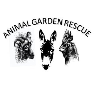 we are a up and coming animal welfare rescue, meaning we love and care for unwanted farm animals givivng them a send chance in life. (non funded rescue)