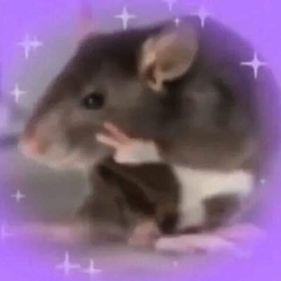 fukilewklikeho's profile picture. 