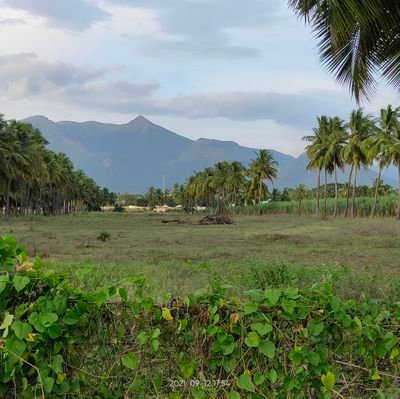 prakashcshekar's profile picture. Seeking ways to integrate Dharma, Artha, Kama in a machine age. Incentives matter.