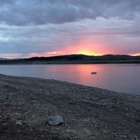 Angela Sauter (@angelasauter4) 's Twitter Profile Photo