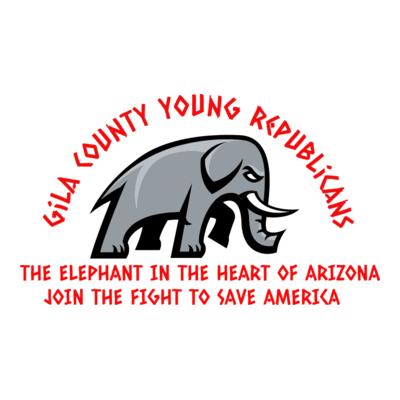 Gila County Young Republicans are all about educating our fellow citizens and serving our community.