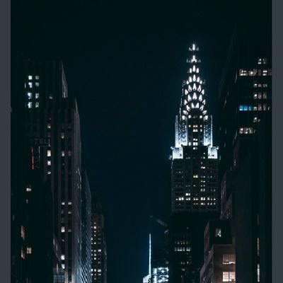 Project1303's profile picture. ,🌟,