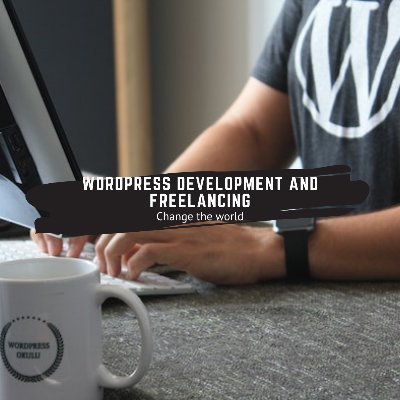 WordPress Developer and Freelancer
(Software Engineer)