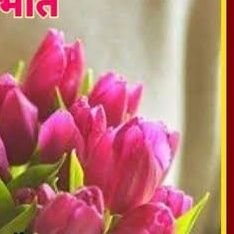 rosesi37709209's profile picture. 