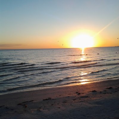 ErboxChadt's profile picture. 