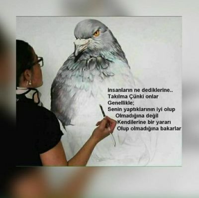 KenanEr43190236's profile picture. Kişisel bakımına özen gösteren gizliliğe  önem veren  bayanlar ile tanışmak istemiyorum istanbul