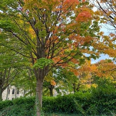 sanika1985's profile picture. Explore #Life#Luv#Roaming