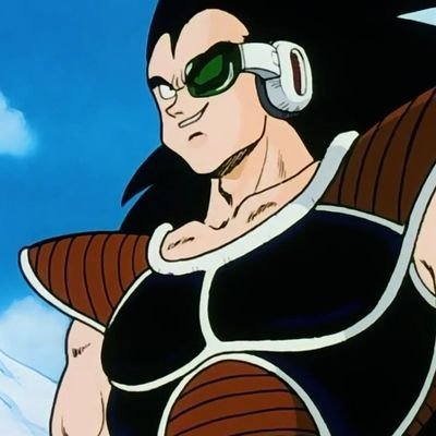 Harbinger to the death of countless victims; Raditz. Proud member of the Saiyan race, very likely to kill you. A short life awaits those that challenge me!