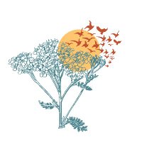 collectivejustice (@collectivejnw) 's Twitter Profile