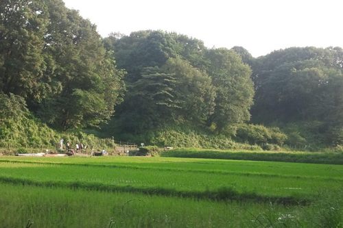 Joybeh1980's profile picture. 原発再稼働絶対反対！ 3.11以来、大切な家族を失った人々、充分な補償もない中で、まだ故郷に帰れない人も沢山いるのに、どの口が言うか！原発事故を起こした日本こそが先頭を切って原発廃止、自然エネルギー開発に突き進むべき！