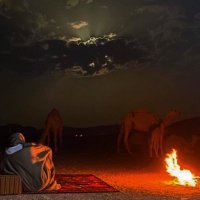 العزيزي (@a7ll7all) Twitter profile photo