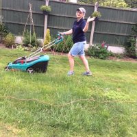 Paula Warrener (@paulawarrener) 's Twitter Profile