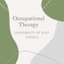 UEA Occupational Therapy (@OT_UEA) Twitter profile photo