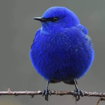 ShazedulKhan's profile picture. Love Nature 😍