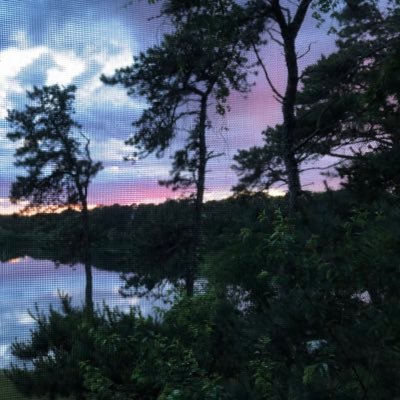 suzanneaust1n's profile picture. 