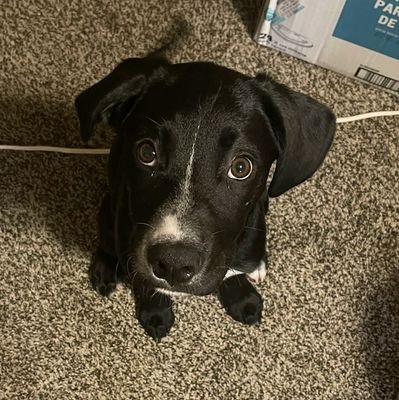 JackbeNimble89's profile picture. 