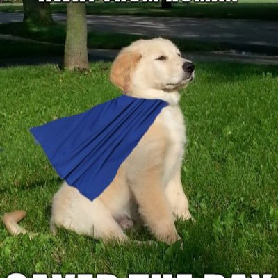 chadc94's profile picture. A Eastern michigan university student, loves history, baseball, and elvis