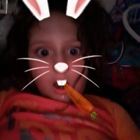 Debra Papay (@papaydebra) 's Twitter Profile Photo