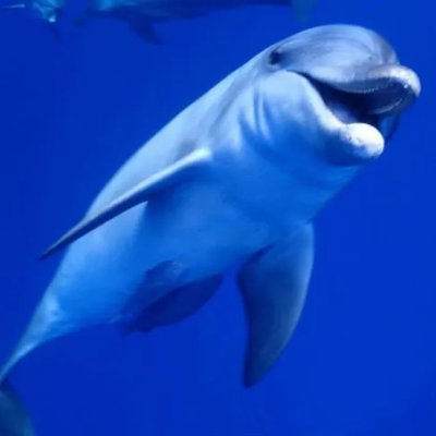 web_dezainsuru's profile picture. WEBデザイン勉強中です。スキルアップ用。勉強の情報収集用 Twitter初心者です。 ♯WEBデザイナーと繋がりたい