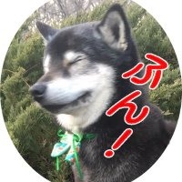 色々大変人(@surosurosurori) 's Twitter Profile Photo
