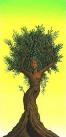 lisamer4's profile picture. Soul tender, she/her