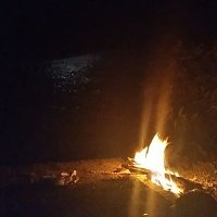 Logan (@logan42693935) 's Twitter Profile