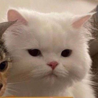 ngoctanlai's profile picture. 