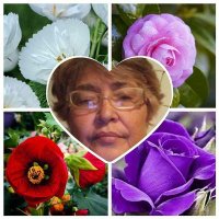 Betty Ríos 🇻🇪🙏🇻🇪 (@bettkrios57) 's Twitter Profile