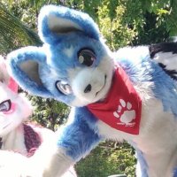 Sorairo ► ✈️ Stay Home (@sorairo_husky) 's Twitter Profile Photo Sorairo ► ✈️ Stay Home (@sorairo_husky) 's Twitter Profile Photo