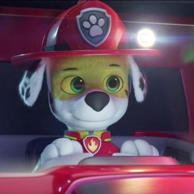 I am a member of the paw patrol I am a fire pup and chase is my best friend ask for DM please and 18+ only followers