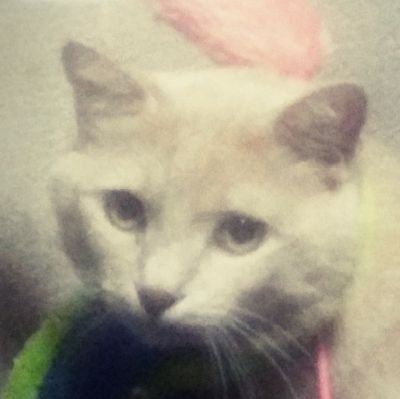 cJpk0zIANvrSPCv's profile picture. 