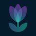 Tulip Protocol (@tulipprotocol) Twitter profile photo Tulip Protocol (@tulipprotocol) Twitter profile photo