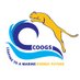 UH_MECC (@uhmecc) Twitter profile photo UH_MECC (@uhmecc) Twitter profile photo