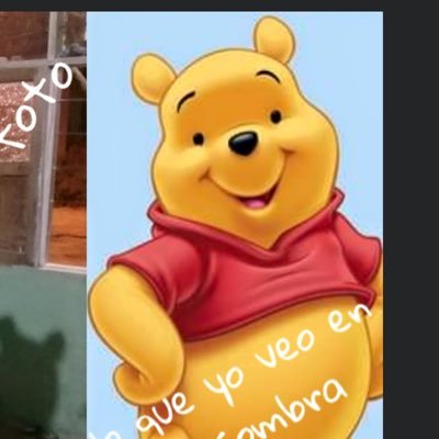 PinkBuch's profile picture. Salir de campo