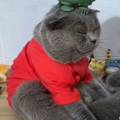 hanna_0723's profile picture. 20代前半、自律神経失調症により、多汗と腹痛を患いました（もうすぐ1年）。
精神的に負荷がかかる勉強を長期間続けたからか、いつのまにか発症していました。それ以来外出が恐くなりました涙。情報収集目的でフォローさせて頂きます🙇
レスポンスは考えすぎて疲弊するタイプなのであまりできません、すいません🙏🙇