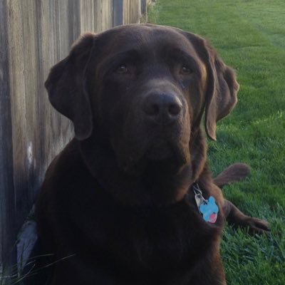 scable2010's profile picture. 