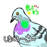 Hts_simakuro's profile picture. よく分からないけど元 元 元ぐらい前の北口の長男になりました。きらきらねこぱわ〜党党員 🤷‍♂️「たとえ10のヒントがあろうと、たった一つの真実も見抜けない！見た目は大人！頭脳は子供！迷探偵パセr…😇」 メイン垢かもしれない垢 @nogi1889