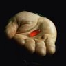 airic101's profile picture. Stock speculator & PP junkie. Real-estate investor. Finance Major. Tweets=my opinion & prob have vested interest, see link. DMs open. #IPO #RTO 🇨🇦