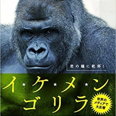 クラインフェルター症候群で更年期障害に苦しんでたけど

男性ホルモン月1で注射！
男性ホルモン少ないから陰毛も生えにくい

故に陰毛は永久脱毛した。

勃起不全もシアリスで克服！
金玉も小さく射精しても精子でず精液のみ！

結果生殖器として使わず道具として使ってもらってる。
故に射精はゴールじゃなく女性がイケば終わり！