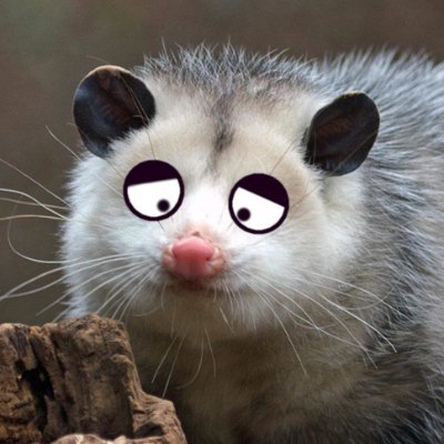 Pawesome_Possum