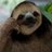 PondSmol's profile image