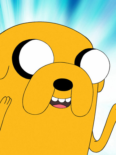 Im Jake the dog. Finn is my brotha fo-eva. I love everything burritos, and bacon.  #teamadventuretime