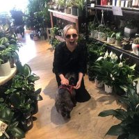 Amelia McNair (@amelia_mcnair) 's Twitter Profile
